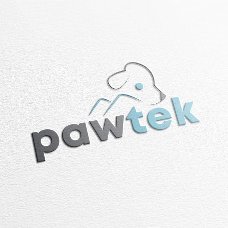 PAWTEK